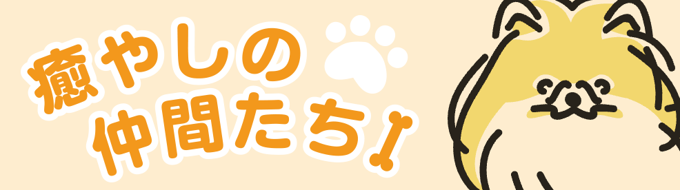 癒しの仲間たち