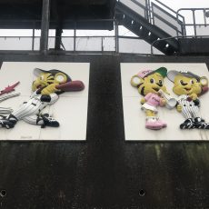 2018 阪神タイガース春季キャンプ