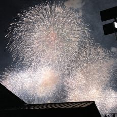 第4回土佐横浜みなと未来祭りが開催されました。
