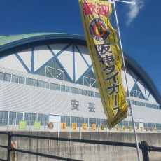 阪神タイガース2022年春期キャンプ開催