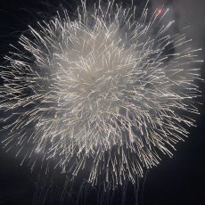 第１６回いの町民祭仁淀川まつり納涼花火大会が開催されました。