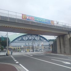 ウエスタン・リーグ公式戦in安芸タイガース球場