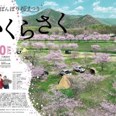 第８回　越知町ぼんぼり桜祭りが開催されます。