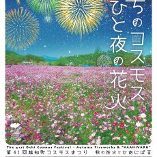 第41回 越知町コスモスまつりが開催されました。